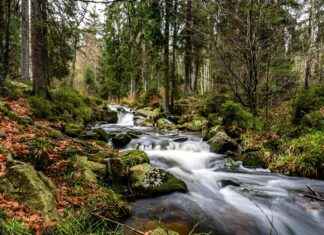 YouTube TV vs. FuboTV: Best Sports Streaming Service? YouTube TV vs. FuboTV: Best Sports Streaming Service?