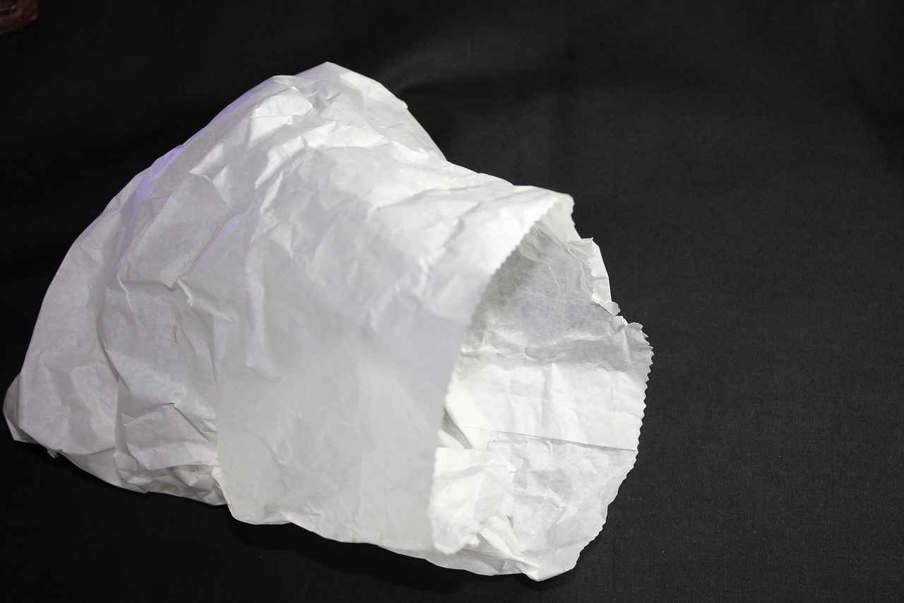 YSL Phone Holder Bags: Fashion Meets Function 5 Where to Buy YSL Phone Holder Bags