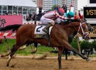 Journalism Wins 150th Preakness Stakes in Exciting Comeback journalism-wins-150th-preakness-stakes-in-exciting-comeback