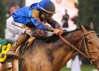 Kentucky Derby Winner Skips Preakness: Triple Crown Debate Reignited kentucky-derby-winner-skips-preakness-triple-crown-debate-reignited