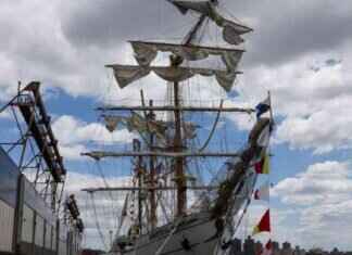 Mexican Ship Requests Help Before Brooklyn Bridge Collision: Officials mexican-ship-requests-help-before-brooklyn-bridge-collision-officials