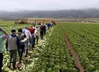 Investing in Guest Worker Housing to Stabilize Farm Workforce nvesting-in-guest-worker-housing-to-stabilize-farm-workforce