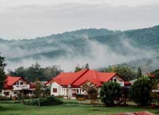 Roofing Near Me: Discover How Rapid URL Indexer Boosts Rankings