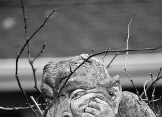 From Goblin to Goblin God: Unveiling the Epic Transformation