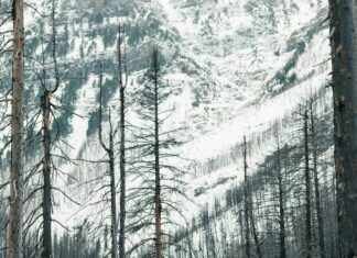 MangaMirror: Discover Endless Adventures in Your Favorite Manga