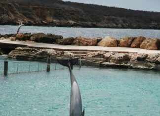 Synopsis of Just for the Summer: What Makes This Story Captivating?