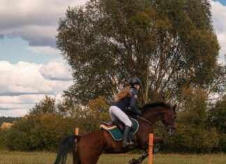 Mare Creampie: Discover The Allure of This Unique Experience