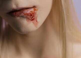 Pornografia Zoofilia: Unveiling Disturbing Realities and Impacts