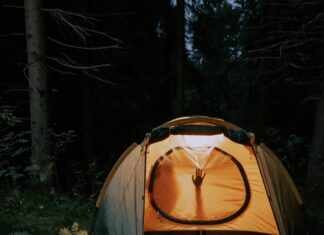 Sex Con Animales: Unveiling The Dark Truth Behind This Taboo