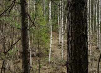 Cuevana2: Discover The Ultimate Streaming Experience Today!