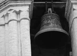 Does Taco Bell Support Israel? Unveiling the Truth Behind Claims