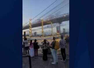 Tragic Collision: Brooklyn Bridge Incident Causes Multiple Casualties tragic-collision-brooklyn-bridge-ncident-causes-multiple-casualties