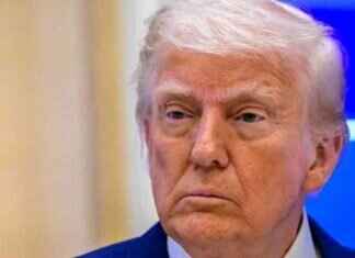 Trump to Discuss Potential Russia-Ukraine Ceasefire with Zelenskyy and Putin trump-to-discuss-potential-russia-ukraine-ceasefire-with-zelenskyy-and-putin