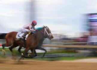 Underdog Journalism Triumphs in Preakness Victory underdog-journalism-triumphs-in-preakness-victory