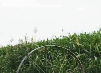 Water Cooled Xray System: Unlocking Superior Imaging Efficiency