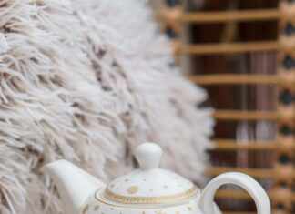 White Poinsettia: Discover The Secrets To Stunning Holiday Decor