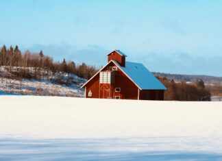 2022 Rocksolid Cargo: Discover Why It’s the Ultimate Choice