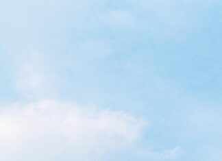 Wahoo Board: Discover Why It’s The Ultimate Fitness Game-Changer