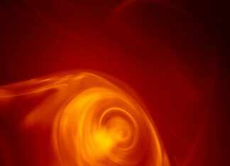 Shockicon: Unleash Your Creativity with Stunning Digital Designs