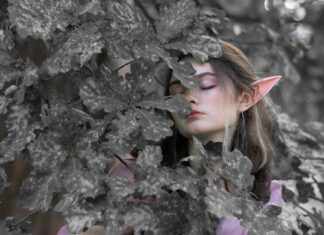 SinfulDeeds Persian: Discover Hidden Secrets of Enchantment