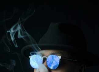 Black Smoke Maine Coon: Unveiling Their Mystique and Charm