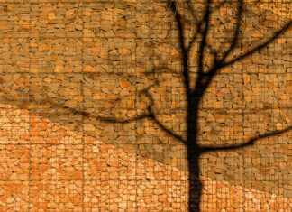 Wall Stone: Transform Your Space with Stunning Natural Beauty