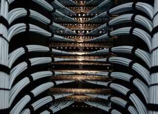 Telecom Management: Unlock Your Business’s Digital Potential Today