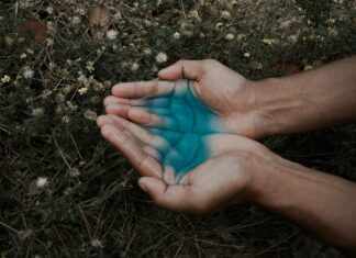 Little Parni: Discover Unique Insights and Hidden Treasures