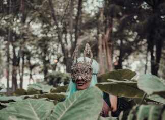 Sasquash: Discover the Secrets Behind This Mysterious Creature