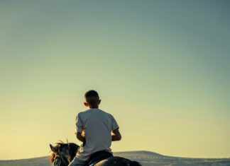 Horse Fucks Man: What Happens When Boundaries Are Crossed?