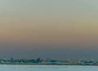 قرص برنج: كيف يؤثر على صحتك وأسلوب حياتك اليومي؟