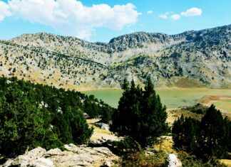 Milf Place: Discover The Secrets to Unforgettable Encounters