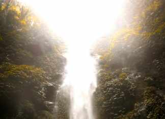 Mariana Holert: Discover the Secrets Behind Her Inspiring Journey