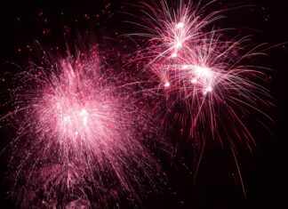 Hentai January 2025: Discover What’s New and Exciting Ahead!