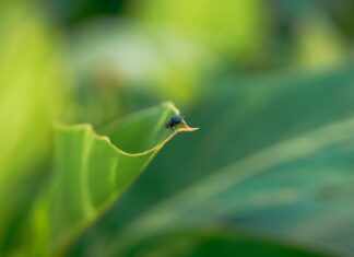 Hockers: Discover the Secrets Behind Their Rising Popularity Today