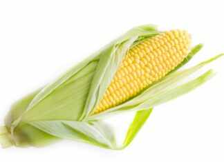 Are Grains The Secret To Unlocking Your Health Potential?