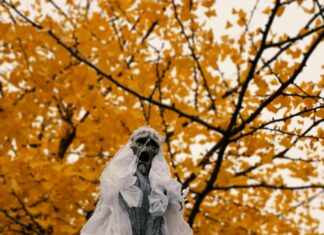 Discover Goblin to Goblin God: Unravel the Mystical Journey