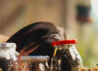 BookManga: Discover Captivating Stories That Ignite Your Imagination