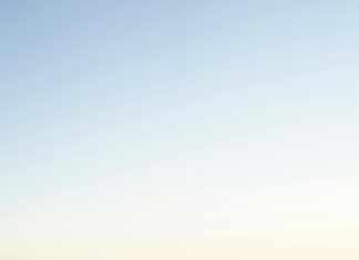 Reid Russom: Discover The Secrets Behind His Inspiring Journey