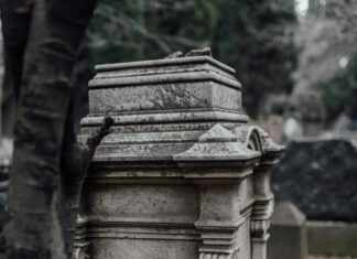 Steve Harvey Obituary: What You Didn’t Know About His Legacy