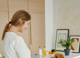 Mini Australian Labradoodle: Discover The Perfect Family Companion