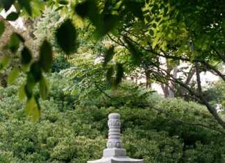 Japanese Academy of San Diego 求人: Discover Exciting Career Opportunities