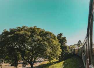 Q Train Status: Discover Real-Time Updates and Track Your Ride