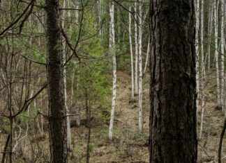 Cast24: Discover How This Platform Transforms Your Streaming Experience