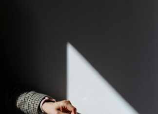 Ph&D: Unlocking Secrets to Thriving in Your Academic Journey