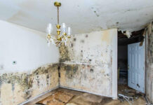 Looking for Water Damage Repair Near Me? Here’s What You Need to Know Water Damage Repair Near Me
