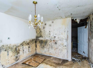Looking for Water Damage Repair Near Me? Here’s What You Need to Know Water Damage Repair Near Me
